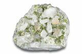 Glassy Quartz Crystal Cluster with Epidote - China #290396-1